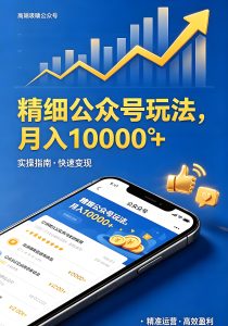 精细公众号玩法 垂直运营变现实操指南（哈）- 哈蒙副业社