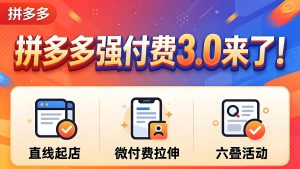 拼多多强付费 3.0 运营 直线起店实操教程（哈）- 哈蒙副业社