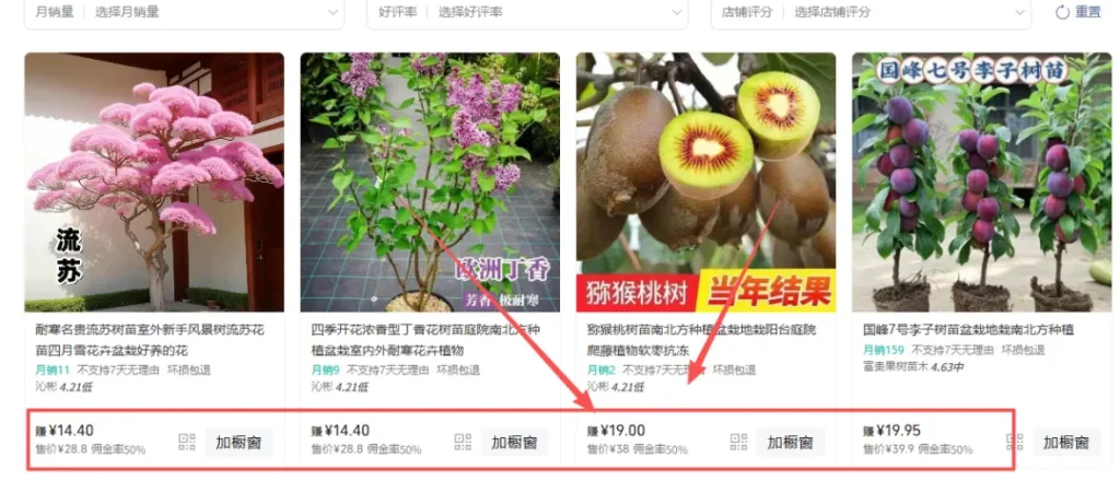 视频号带货，用AI做树苗视频赛道，小白也能轻松掌握（附保姆级教程+配套工具资料）- 哈蒙副业社
