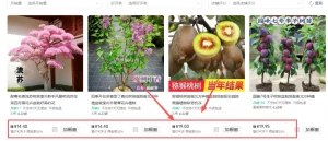 视频号带货，用AI做树苗视频赛道，小白也能轻松掌握（附保姆级教程+配套工具资料）- 哈蒙副业社