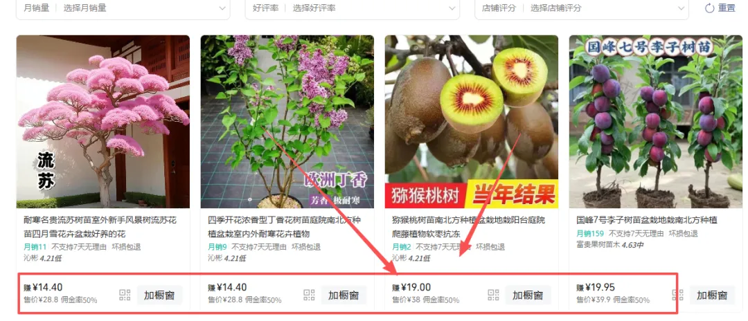 视频号带货，用AI做树苗视频赛道，小白也能轻松掌握（附保姆级教程+配套工具资料）- 哈蒙副业社