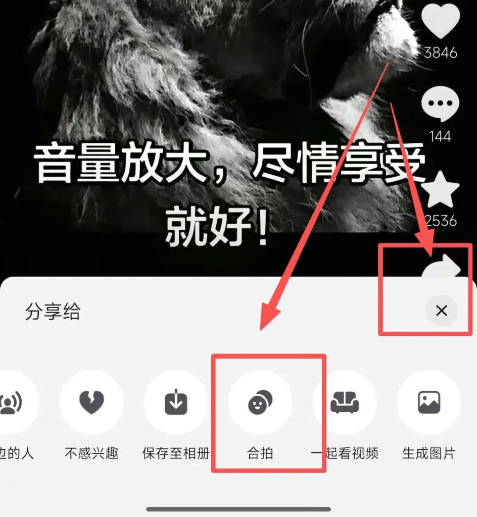 5分钟教会你，情感赛道，治愈性风景视频制作方法（附保姆级教程+配套工具资料）- 哈蒙副业社