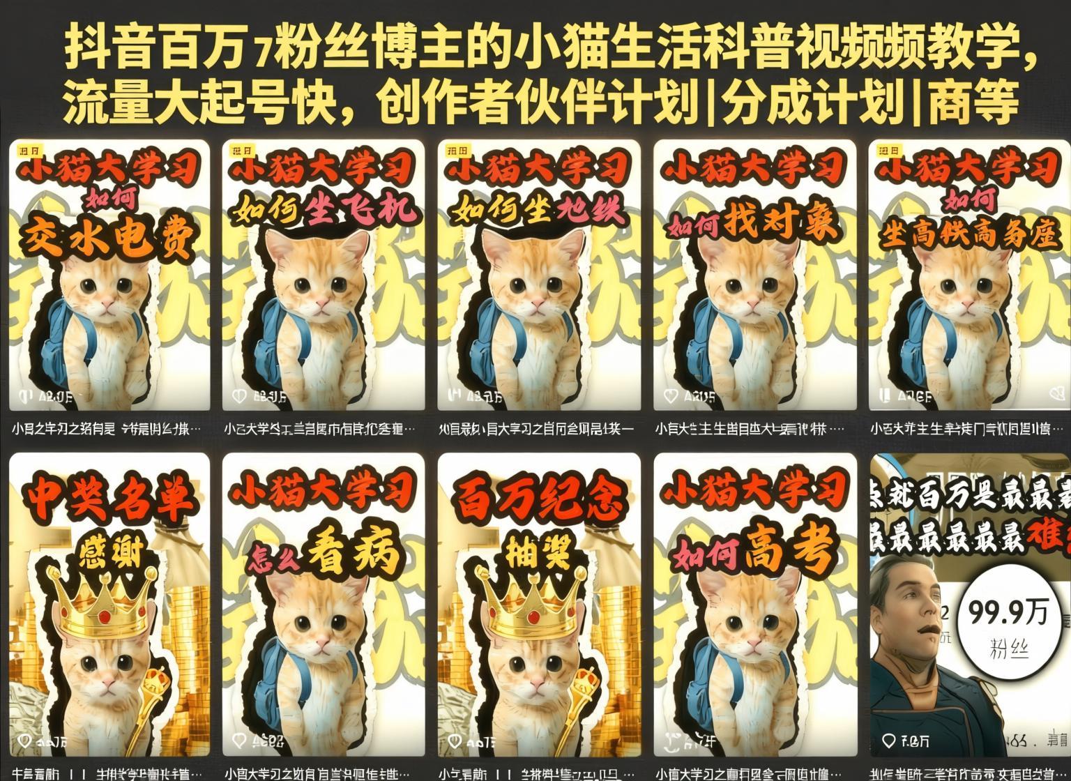 抖音小猫生活科普视频教学，流量大起号快，多渠道变现副业（哈）- 哈蒙副业社