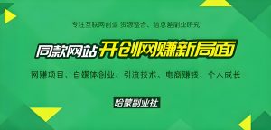 搭建同款网站- 哈蒙副业社