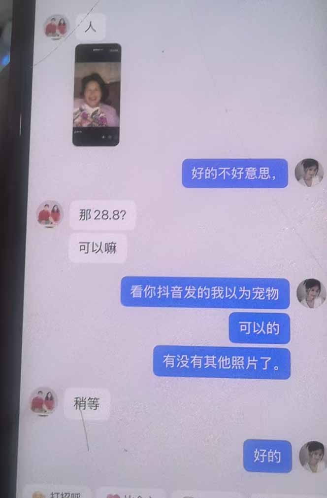思念亲人AI视频教程 亲人复活人物替换爆款制作(哈)